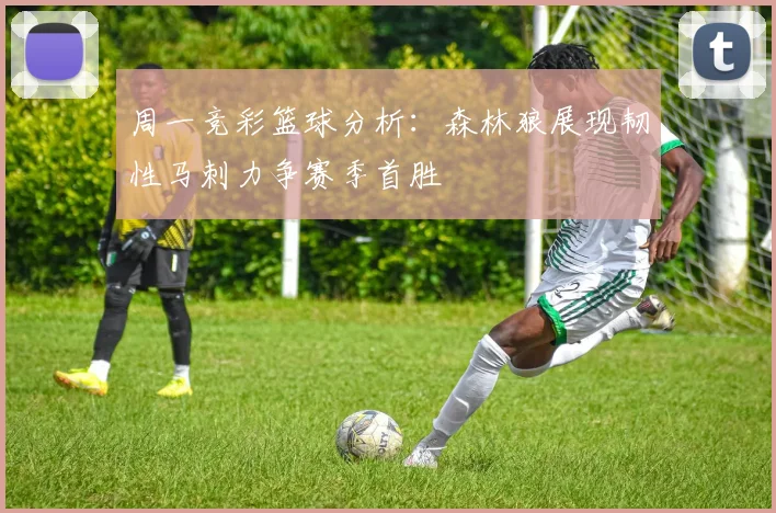 周一竞彩篮球分析：森林狼展现韧性马刺力争赛季首胜